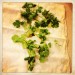 cilantro
