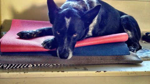 BLUE – Student of the Week!