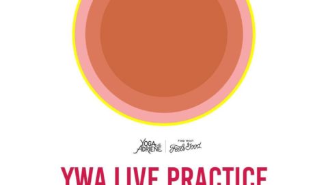 Intent Into Impact + International Yoga Day Invitation!